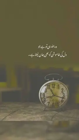 #beshak #islamic_video #foryoupage #deeplines #urduline 