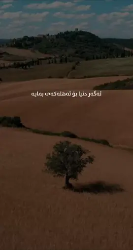 اللهم امین 🤲🏻☺️