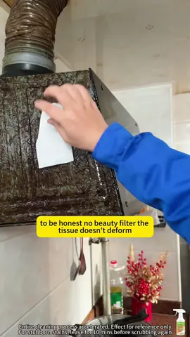 Popular Flycleasen Multi-Purpose cleaner- effective Multi-purpose cleaner for kitchen,hold,oven,stove, sink Range Hood, Sink try this cleaner, you'll love it to remove the grease food stuck together, all that accumulated dirt. #cleaning #cleaningtiktok #kitchen #viraltiktok #fyp 