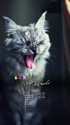 #CapCut Hu sir 🤚🥴 #تمپلیت_جدید  مونـــک ېـې بــې غیراته 😏😇#تمپلیت_جدید #رپ_پشتو رپ_فارسی اهنګ_پشتو اهنک_افغانی  اهنک_ایران_غمگین_غاشقان creatorsearchinsights #oo__3salar_afg 