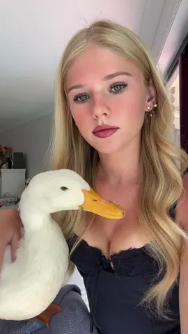 ducky #duck 