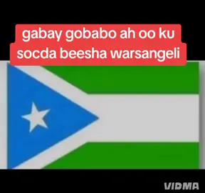 abwaan sanka gabaygi cadawgiin putlaan bu noqdaye tuura calankoda#somalitiktok #waaqooyibari #waaqooyibari #waaqooyibari 