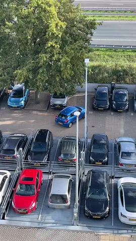 🧐 #fyp #parkingfail 
