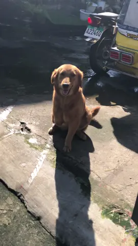 🥺