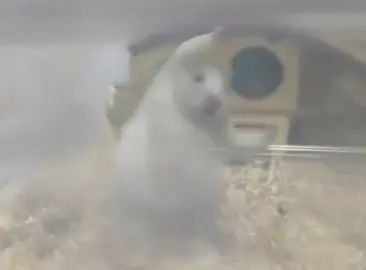 Каратэ пацан