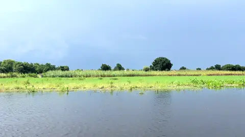 Pibor river Akobo County
