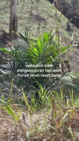 Punya ortu bang🤣 #fyp #foryoupage 