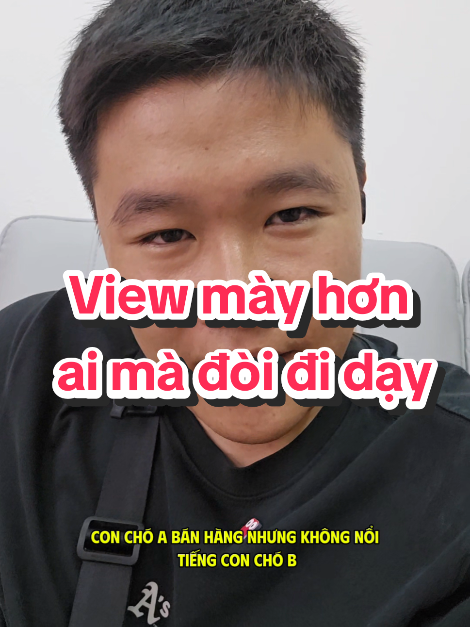 Trả lời @chui.c.sa Mình là chihuahua nhé mọi người. Lắm mồm, sống dai nhất trong các loài chó. #nguoimoixaykenh #xoamutiktok #38kemodau #tutruyenthong #dcgr 