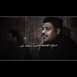النبي  سليمان يعرف لغت الحيوان😂#المصمم_اكتوبر #فيلق_التفاڪه_btx 
