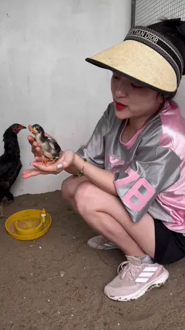 Thời tiết mấy nay mệt thật ý 😁 Thủ tục đầy đủ cho các bé r đi đâu thì đi mn ạ🥰#oanhkem #yeugachoi 
