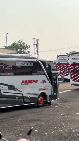 primadona parung!!! #mahardhika #ga737 #pebepebus #satuenamdelapantrans 