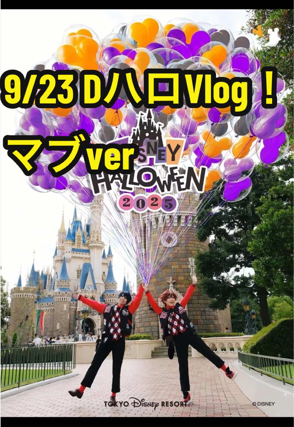 2025/9/23 今年初のDハロ行ってきました！ エースの誕生日Vlog‼️ デュース@まりあ  #エース・トラッポラ #twistedwonderland #dハロ仮装ツイステ #Dハロ仮装2025 #ツイステ 