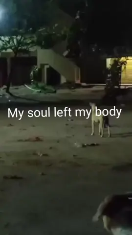 My soul left my body😭 #fyppppppppppppppppppppppp #jumpscare#relapse#edit #fyppppppppppppppppppppppp 