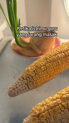 bawang bombay pun numbuh dikulkas 🤣 #guru #gurusd #gurutiktok #fyp #jarangmasak 