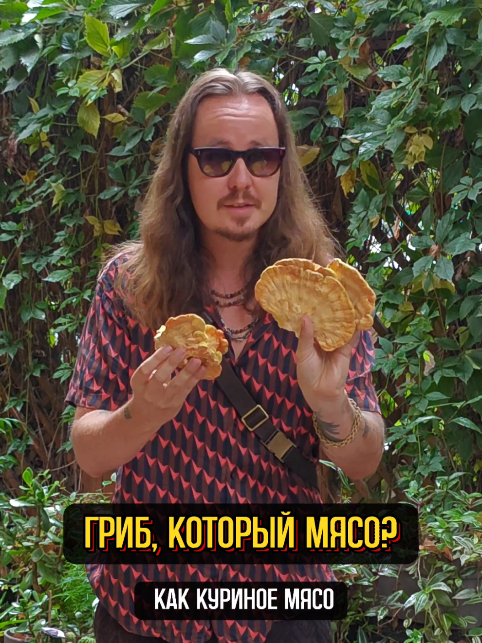 Куриный гриб 