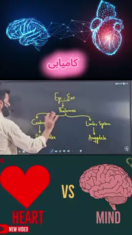 #creatorsearchinsights jumma Mubarak#foryour #today #jummamubarak #for @MrBeast @TikTok Japan @MrBeastBurger 