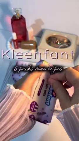 Affordable wipes #wipes #fyp #fyppppppppppppppppppppppp #fypシ゚viral #travelsize 