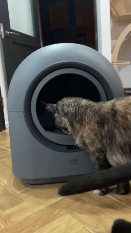 カッコよすぎる自動トイレがきた！！ 下記にお得な情報あり✨🐈‍⬛ 【HHOLOVE 全自動猫トイレ】 HHOLOVEアプリでトイレ使用状況や排泄データを見れる！ 多頭飼いでもそれぞれの体重を自動で測ってくれて健康状態を把握！ 安全構造設計だからセンサーがついていて猫が近づくと自動で止まる！ UV殺菌でトイレ内を清潔にしてくれる！6時間ごとに自動で消毒！ 静音＆モダンデザインでインテリアに馴染みやすく夜間も静かに稼働！ 7sGoodアプリ「セレクト」から 【xrz990】を検索して合計で最大15000円OFFクーポンをゲットしてね🐈‍⬛✨ 【HHOLOVE 3周年大感謝祭 キャンペーン施策】 	1.	ポイント100％還元 & 1年間付属品無料プレゼント！ 	2.	HHOLOVE ○コイン、ついに新登場!! 	3.	今なら3,000コインをプレゼント！貯めた○コインはそのままお買い物にご利用いただけます。 	4.	実施期間：2025年9月15日～2025年10月15日 #PR #HHOLOVE #自動トイレ #全自動猫トイレ #7sGood