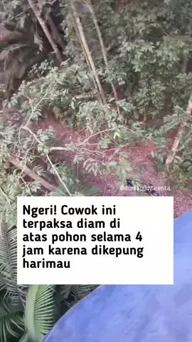 Kayaknya bakal ragu mau turun meskipun harimaunya udah ga ada😭.  