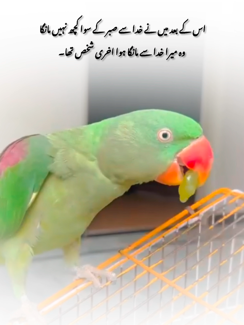❤️‍🩹🥹#foryou #flypシ #1millionaudition #poetry #myousaf 