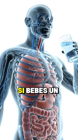 Esto le pasa a tu cuerpo si tomas agua caliente en ayunas | #aguacaliente #remediosnaturales #detox #salud #saludnatural