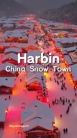 POV : Hãy tới Cáp Nhĩ Tân vào mùa đông năm nay ❄️☃️ Khám phá thế giới băng tuyết Cáp Nhĩ Tân - Yabuli- Làng Tuyết Hương 6N5D N.o Sho.pping pay từ HN mn lh e nhegg ❄️☃️ #dulichtrungquoc #china #harbin #capnhitan #yabuli 