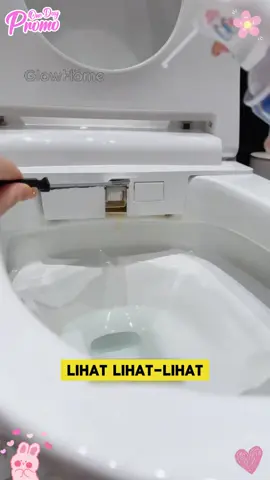Ada tamu datang? Semprot busa toilet, dalam hitungan detik semua bau hilang!