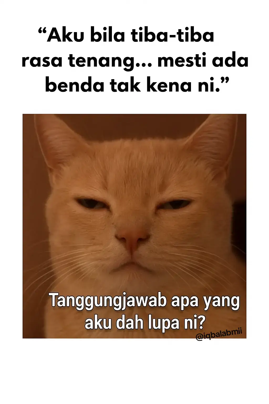 Pernah tak bila kau rasa hidup aman damai sikit, terus otak mula buat ‘audit’: “Apa tanggungjawab aku yang tak settle lagi?” 🤯 Kadang-kadang, rasa relax tu bukan tenang… tapi alarm senyap. 🚨🐱 Tag kawan kau yang selalu panic macam ni 😂 #MemeMalaysia #Relatable #KehidupanDewasa #Tanggungjawab 