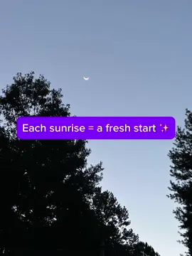 🌅 New sunrise, new chance to shine ✨ Start your day with gratitude + possibility 🌿☀️ #MorningMotivation #RiseAndShine #DailyInspiration #FreshStart #GratefulHeart