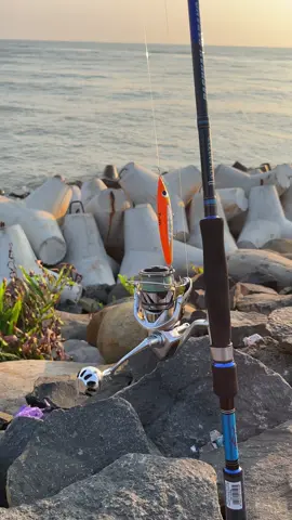 Set tackle idaman 🔥 #shimanofishing #pasukankarang #shorejig #landbasedfishing #castingfishing🎣 