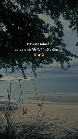#CapCut #สตอรี่ความรู้สึก #เปิดการมองเห็น 