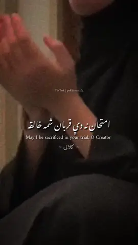 صبر درنه غواړم❤️‍🩹 #pashtolines #afghanistan🇦🇫 #pashto #pashtopoetry #islamictiktok 