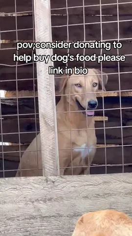 #trendingvideo #viral #animalsanctuary_1 #foryoupage_tik_tok #fyp 
