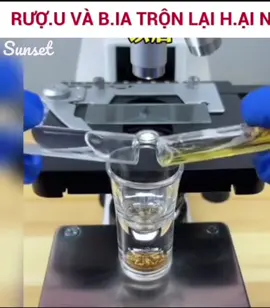 🙂 tôi xem bạn cũng phải xem