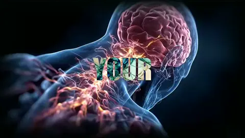 Part 12 | how does your bran faking things . #education #human #brain 