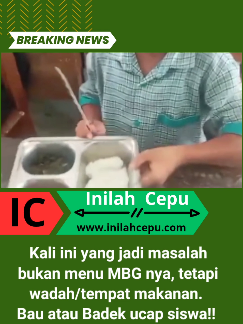 MBG masih jadi masalah besar, kali ini seorang siswa tidak mau makan, karena ada bau badek pada tempat makanannya!!!  #mbg #bau #anak #viral #medsos 