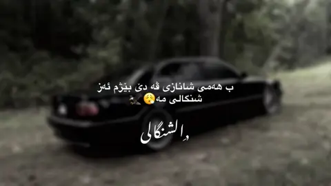 ,ِالشنگالی😮‍💨#foryou #foryoupage #fyp #tiktok #شنكال 