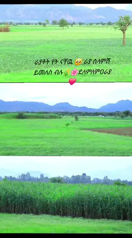 #ራያ_ራዩማ🌽🌾🌽🌾 #creadoresdecontenido #ራያ_ራዩማ🌽🌾🌽🌾 #ራያ_ራዩማ🌽🌾🌽🌾 #ራያ_ራዩማ🌽🌾🌽🌾 @ሑሩር ከርስ🥰 @ወድ ሮብሶ ራያ 