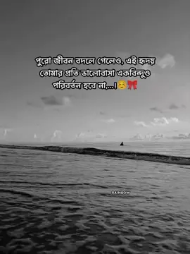 পুরো জীবন বদলে গেলেও , এই হৃদয় তোমার প্রতি ভালোবাসা একবিন্দুও পরিবর্তন হবে না,...!☺️🎀 #vairal #foryou #copylink #unfrezzmyaccount #trending @TikTok Indonesia @TikTok Bangladesh 