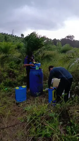 CEO NYEMPROT 😂 #fyppppppppppppppppppppppp #kalimantan #kalimantanviral #kulisawit #reels 