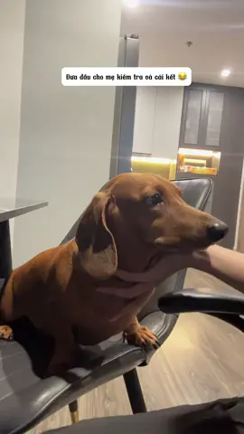 Đầu hôi ká, khóc khỏi dỗ luôn 😂