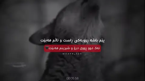 نەک دوو ڕووی درۆ شیرینم هەبیت🖤#alone_525 #alonee_525 
