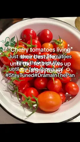 These cherry tomatoes are the start of something good! On the menu tonight-Tomato & Feta Pasta bake! Stay Tuned…..🔥🍅🧀 #cooking#farmtotable#tomatoandfetapasta #fyp#garden