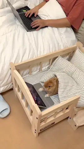#♥️🐰🐇 