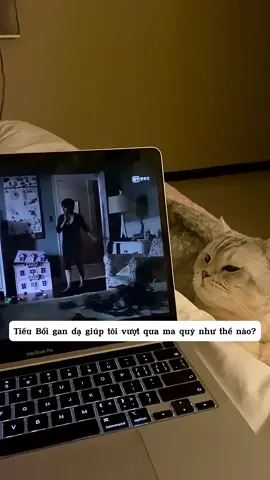 Ma quỷ tới đây Tiểu Bối chấp hết 