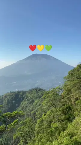 🫨#tonyqrastafara #fypage #namoybudaya🍀🇧🇴 #tertanam #fyppppppppppppppppppppppp 