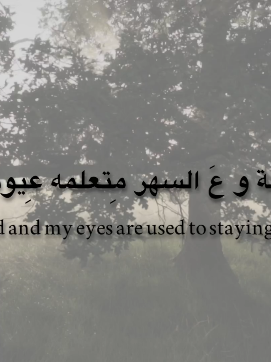 عِليلة و عَ السهر مِتعلمه عِيوني! #باسم_الكربلائي #قصائد_حزينه #طفلة_وشفت_بالنوم #هارب #fyp 