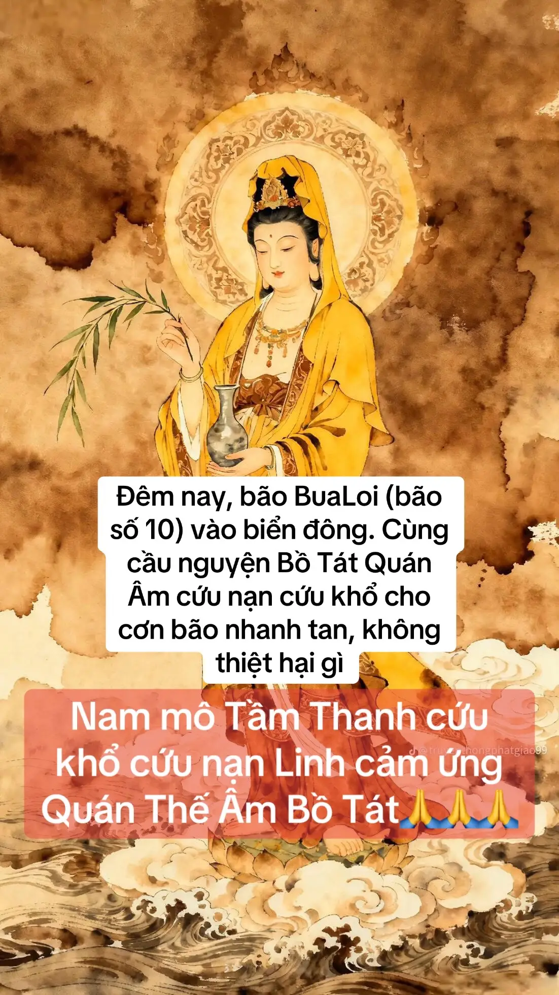 Nguyện cầu Quốc thái dân an, thế giới hoà bình, mọi người nhà nhà được mạnh khỏe an lạc☘️ #genztutap  #baoso10 #nammoquantheambotat🙏🙏 #nammoduocsuluulyquangvuongphat  #nammoadidaphat 