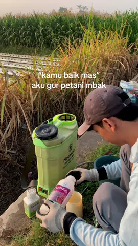 Bahan guyone wg wedok #petanimilenial #petanigenz #petanicabe #kediri24jam #xybca 