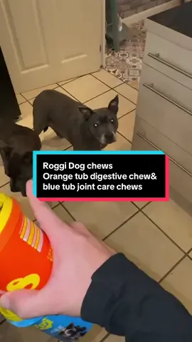 Digestive chews for dogs - my dogs absolutely love these just as much as dog treats! #dogchews #dogtreats #dogoftiktok #foryoudays #tiktokmademebuyit 